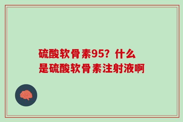 硫酸软骨素95？什么是硫酸软骨素注射液啊