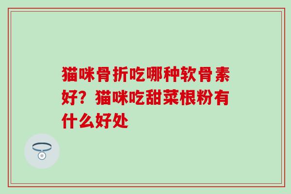 猫咪骨折吃哪种软骨素好？猫咪吃甜菜根粉有什么好处