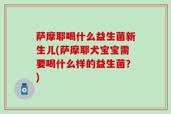 萨摩耶喝什么益生菌新生儿(萨摩耶犬宝宝需要喝什么样的益生菌？)