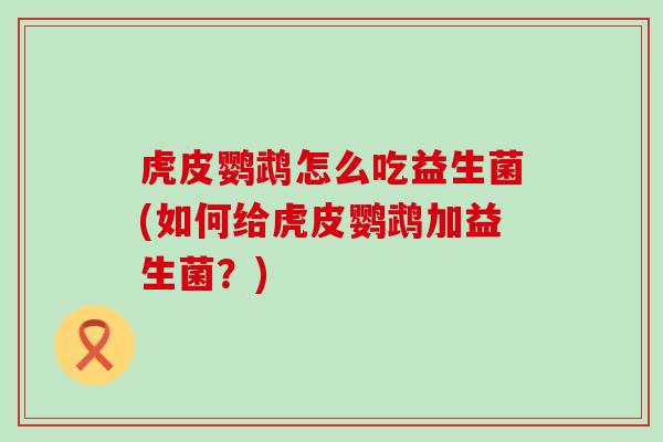 虎皮鹦鹉怎么吃益生菌(如何给虎皮鹦鹉加益生菌？)