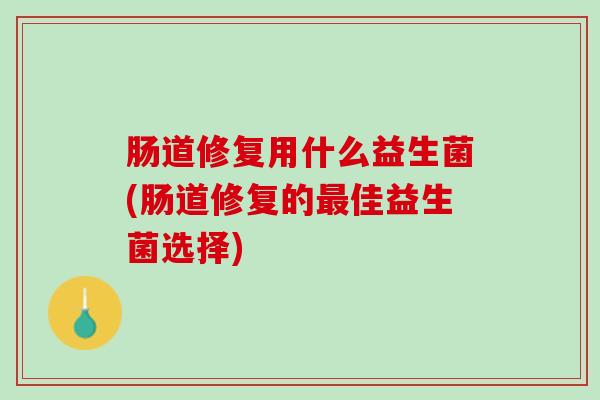肠道修复用什么益生菌(肠道修复的佳益生菌选择) 肠道修复用什么益生菌(肠道修复的佳益生菌选择)