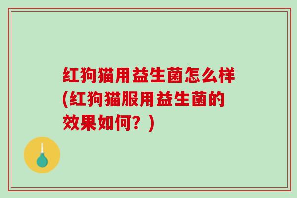 红狗猫用益生菌怎么样(红狗猫服用益生菌的效果如何？)