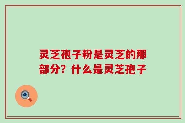 灵芝孢子粉是灵芝的那部分？什么是灵芝孢子