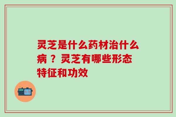 灵芝是什么药材治什么病 ？灵芝有哪些形态特征和功效