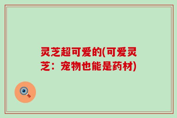灵芝超可爱的(可爱灵芝：宠物也能是药材)