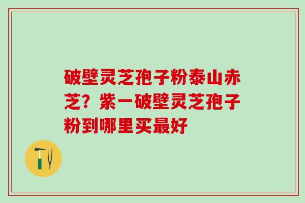 破壁灵芝孢子粉泰山赤芝？紫一破壁灵芝孢子粉到哪里买最好