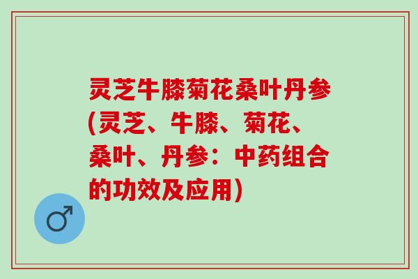 灵芝牛膝菊花桑叶丹参(灵芝、牛膝、菊花、桑叶、丹参：中药组合的功效及应用)