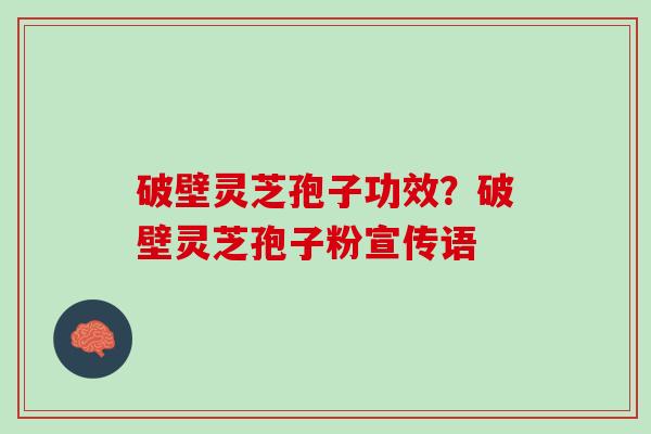 破壁灵芝孢子功效？破壁灵芝孢子粉宣传语
