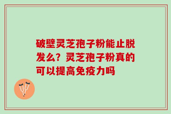 破壁灵芝孢子粉能止脱发么？灵芝孢子粉真的可以提高免疫力吗