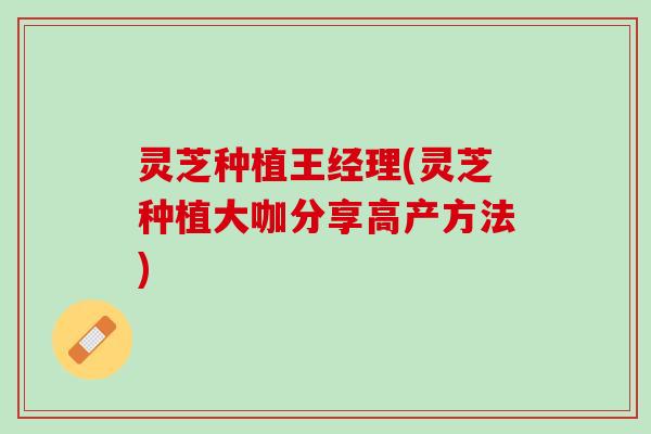 灵芝种植王经理(灵芝种植大咖分享高产方法)
