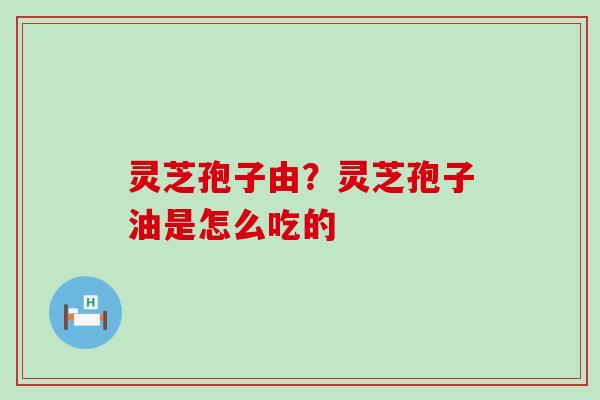 灵芝孢子由？灵芝孢子油是怎么吃的