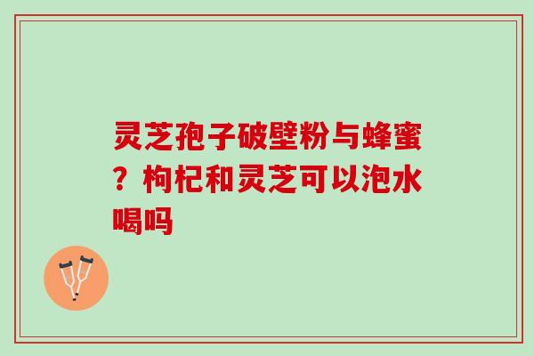 灵芝孢子破壁粉与蜂蜜？枸杞和灵芝可以泡水喝吗