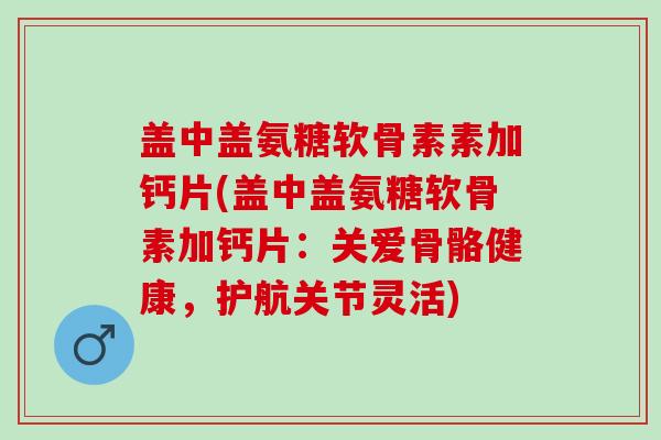 盖中盖氨糖软骨素素加钙片(盖中盖氨糖软骨素加钙片：关爱骨骼健康，护航关节灵活)