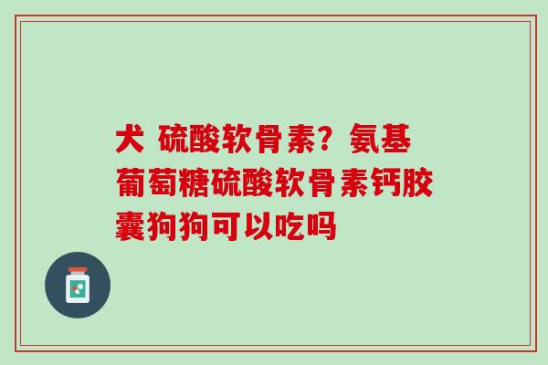 犬 硫酸软骨素？氨基葡萄糖硫酸软骨素钙胶囊狗狗可以吃吗