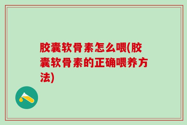 胶囊软骨素怎么喂(胶囊软骨素的正确喂养方法)