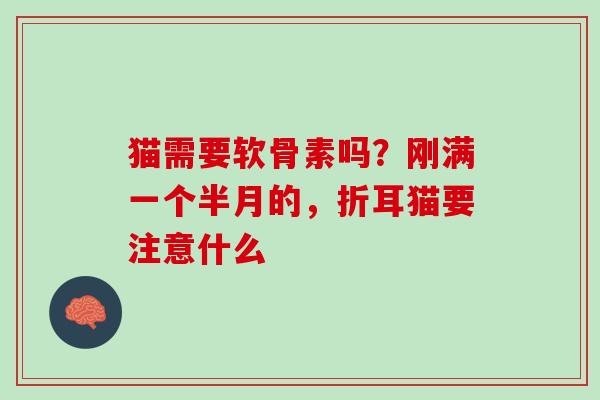 猫需要软骨素吗？刚满一个半月的，折耳猫要注意什么