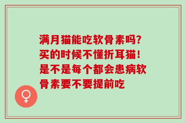 满月猫能吃软骨素吗？买的时候不懂折耳猫！是不是每个都会患病软骨素要不要提前吃