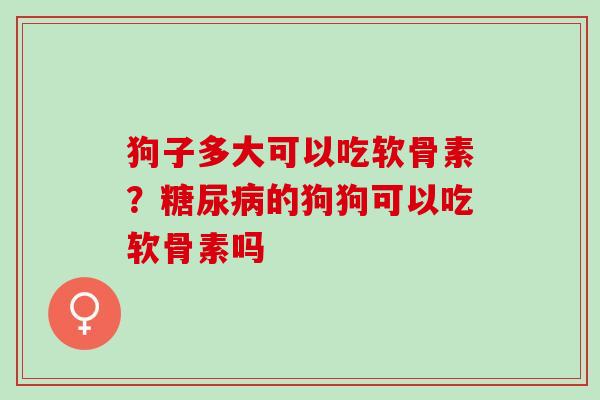 狗子多大可以吃软骨素？糖尿病的狗狗可以吃软骨素吗