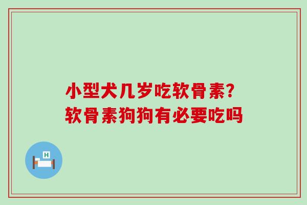小型犬几岁吃软骨素？软骨素狗狗有必要吃吗