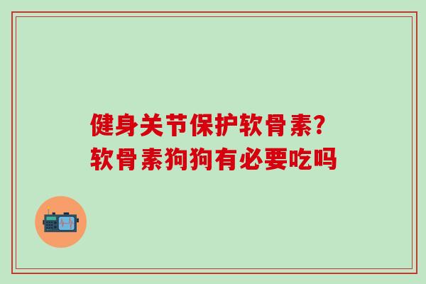 健身关节保护软骨素？软骨素狗狗有必要吃吗