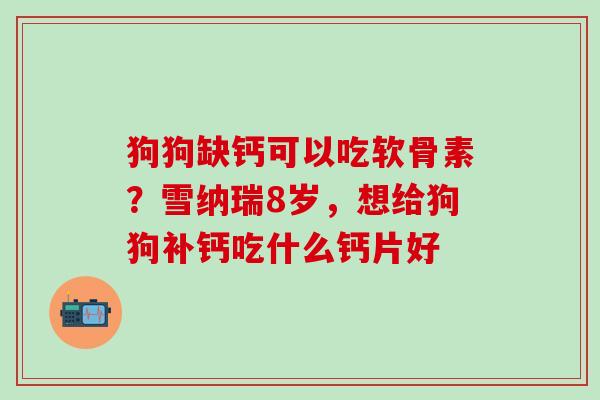 狗狗缺钙可以吃软骨素？雪纳瑞8岁，想给狗狗补钙吃什么钙片好