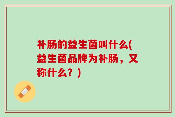 补肠的益生菌叫什么(益生菌品牌为补肠，又称什么？)