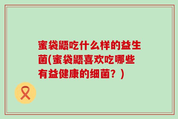 蜜袋鼯吃什么样的益生菌(蜜袋鼯喜欢吃哪些有益健康的细菌？)