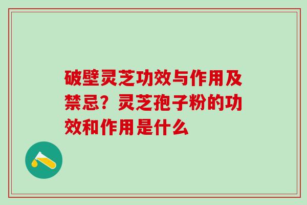破壁灵芝功效与作用及禁忌？灵芝孢子粉的功效和作用是什么