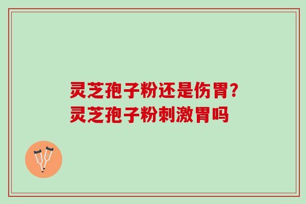 灵芝孢子粉还是伤胃？灵芝孢子粉刺激胃吗