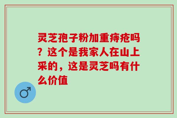 灵芝孢子粉加重痔疮吗？这个是我家人在山上采的，这是灵芝吗有什么价值