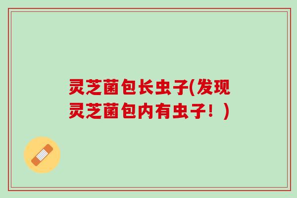 灵芝菌包长虫子(发现灵芝菌包内有虫子！)