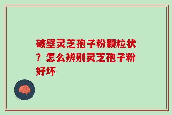 破壁灵芝孢子粉颗粒状？怎么辨别灵芝孢子粉好坏