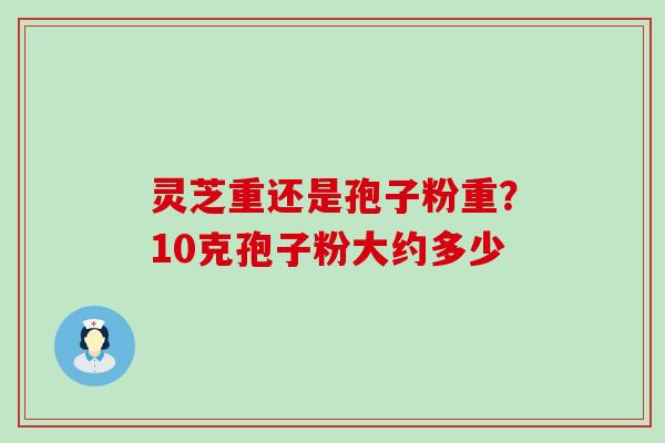 灵芝重还是孢子粉重？10克孢子粉大约多少