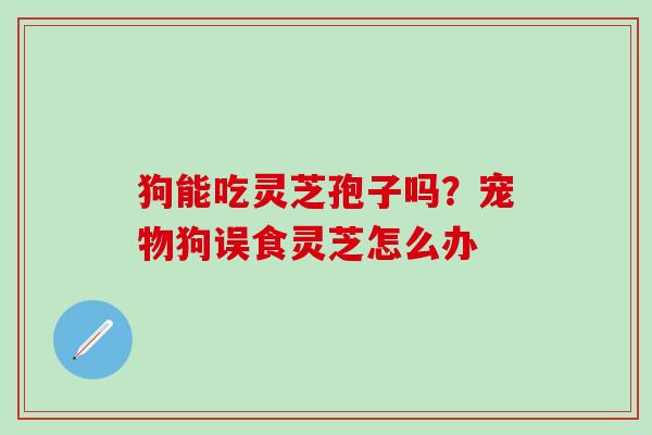 狗能吃灵芝孢子吗？宠物狗误食灵芝怎么办