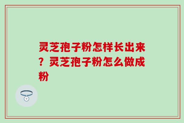 灵芝孢子粉怎样长出来？灵芝孢子粉怎么做成粉