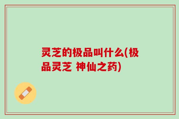 灵芝的极品叫什么(极品灵芝 神仙之药) 灵芝的极品叫什么(极品灵芝 神仙之药)