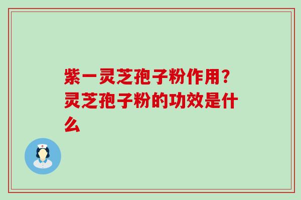 紫一灵芝孢子粉作用？灵芝孢子粉的功效是什么