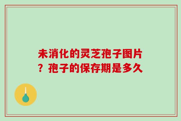 未消化的灵芝孢子图片？孢子的保存期是多久
