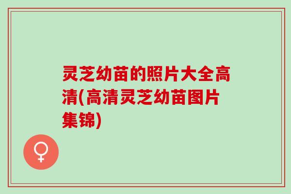 灵芝幼苗的照片大全高清(高清灵芝幼苗图片集锦)