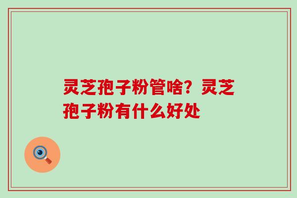 灵芝孢子粉管啥？灵芝孢子粉有什么好处