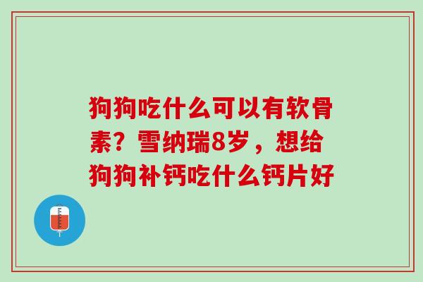 狗狗吃什么可以有软骨素？雪纳瑞8岁，想给狗狗补钙吃什么钙片好