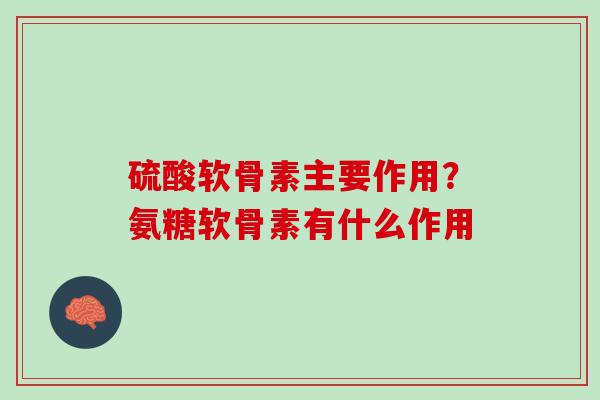 硫酸软骨素主要作用？氨糖软骨素有什么作用