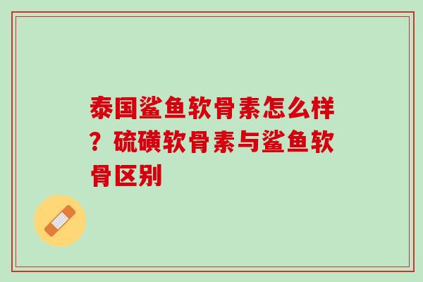 泰国鲨鱼软骨素怎么样？硫磺软骨素与鲨鱼软骨区别