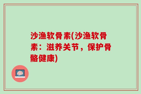 沙渔软骨素(沙渔软骨素：滋养关节，保护骨骼健康)
