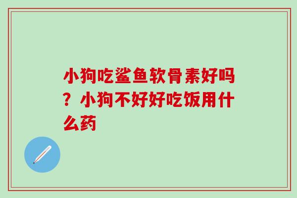 小狗吃鲨鱼软骨素好吗？小狗不好好吃饭用什么药