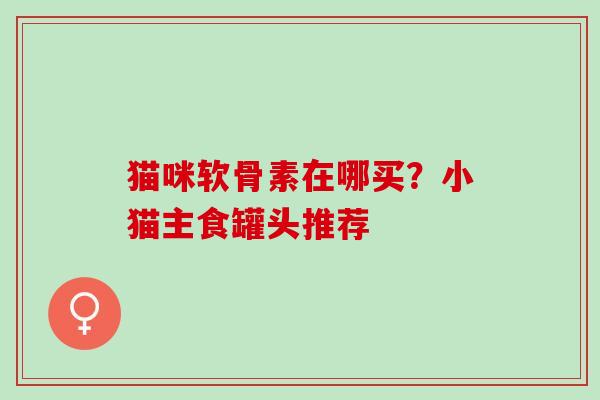 猫咪软骨素在哪买？小猫主食罐头推荐