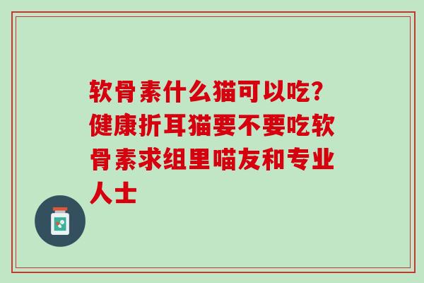 软骨素什么猫可以吃？健康折耳猫要不要吃软骨素求组里喵友和专业人士