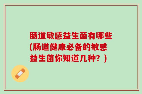 肠道敏感益生菌有哪些(肠道健康必备的敏感益生菌你知道几种？)