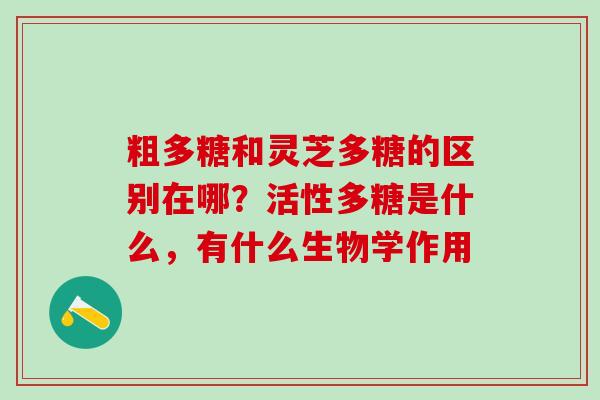 粗多糖和灵芝多糖的区别在哪？活性多糖是什么，有什么生物学作用