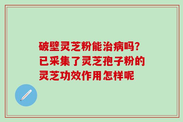 破壁灵芝粉能治病吗？已采集了灵芝孢子粉的灵芝功效作用怎样呢